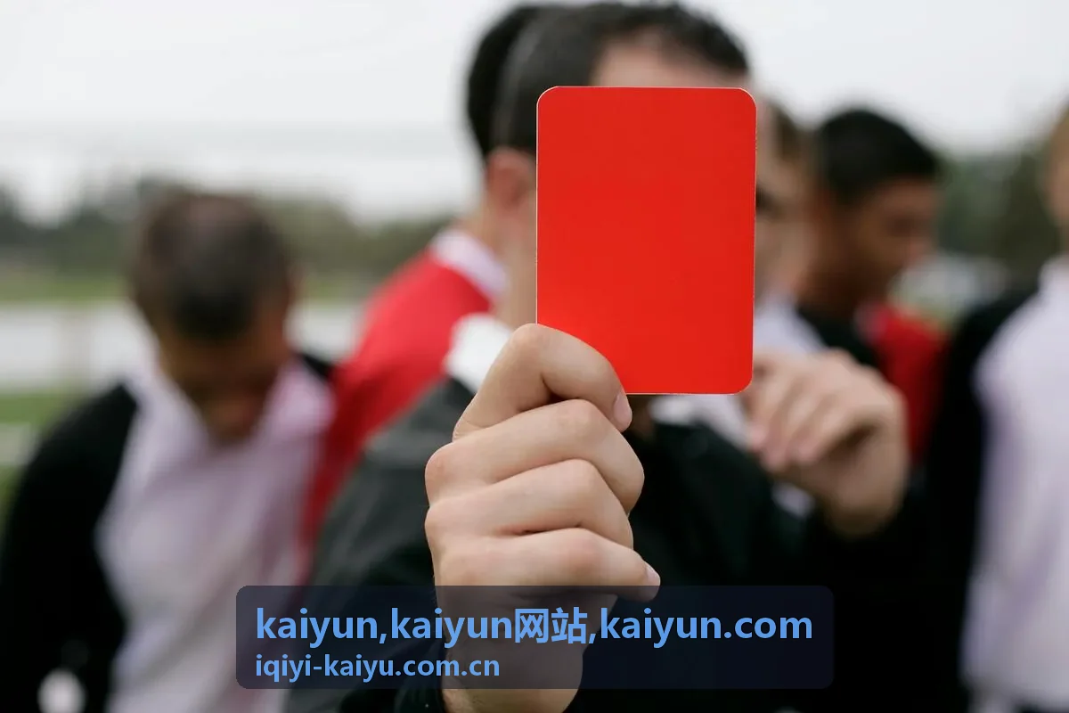 kaiyun.com 访问说明与内容导航封面