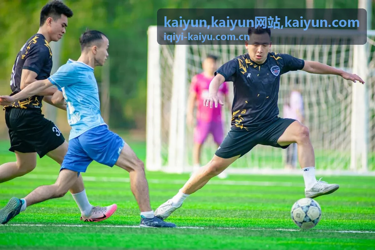 kaiyun网站企业内容服务卡片